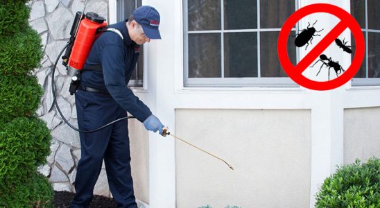 Kuyucak Hamam Böceği İlaçlama böcek ilaçlama ve haşere kontrolü — ilaclama-tr.com